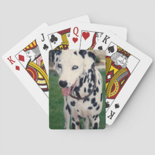 My Pet Friend Upload Your Own Photo Custom Playing Cards