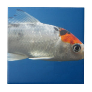 My Pet Koi Fish Tile