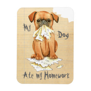My Petit Brabancon Ate My Homework Magnet