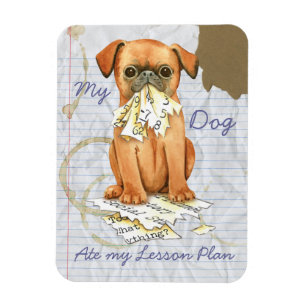 My Petit Brabancon Ate My Lesson Plan Magnet