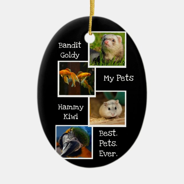 My Pets Photo Collage Best Pets Ever Fun Cute Ceramic Ornament (Front)