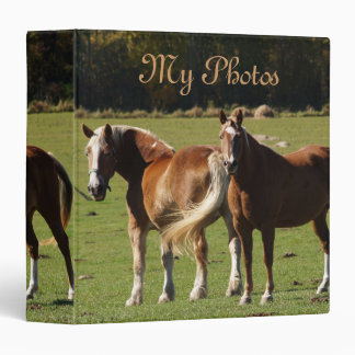 My Photos Binder