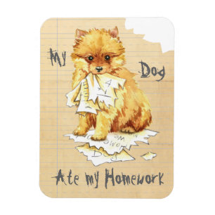 My Pomeranian Ate My Homework Magnet