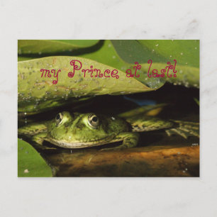 my Prince at last! Postcard