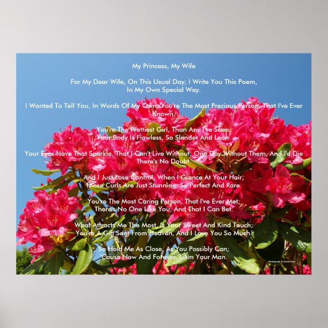 My Princess, My Wife Poster (Front)