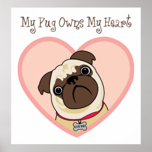 My Pug Owns My Heart Posters and Prints