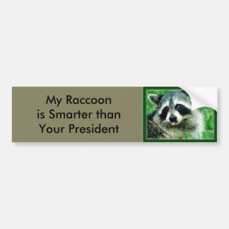 My Raccoon is smarter than your President Bumper Sticker