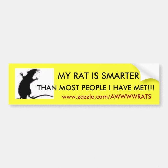 MY RAT IS SMARTER, THAN MOST PEOPLE ... BUMPER STICKER (Front)