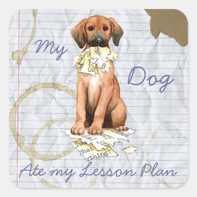 My Redbone Ate My Lesson Plan Square Sticker (Front)
