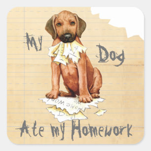 My Rhodesian Ridgeback Ate Homework Square Sticker