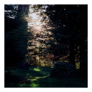 My Sanctuary in Klamath, California.... Poster