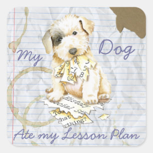 My Sealyham Terrier Ate My Lesson Plan Square Sticker