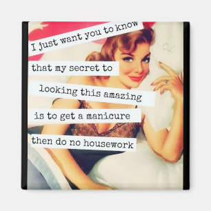 My Secret Vintage Retro Funny Magnet