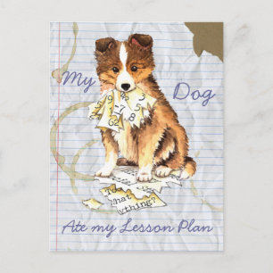 My Sheltie Ate my Lesson Plan Postcard