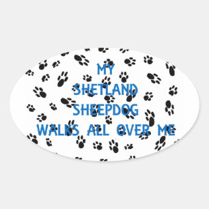 My Shetland Sheepdog Walks All Over Me Oval Sticker