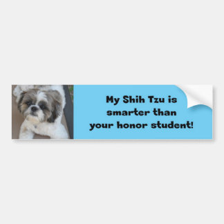 "My Shih Tzu is smarter than your honour student" Bumper Sticker