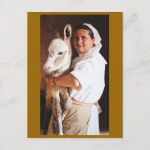 My SISTER HOLDING HER DONKEY Postcard