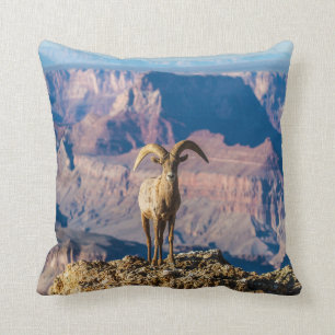 My Space Grand Canyon Pillow