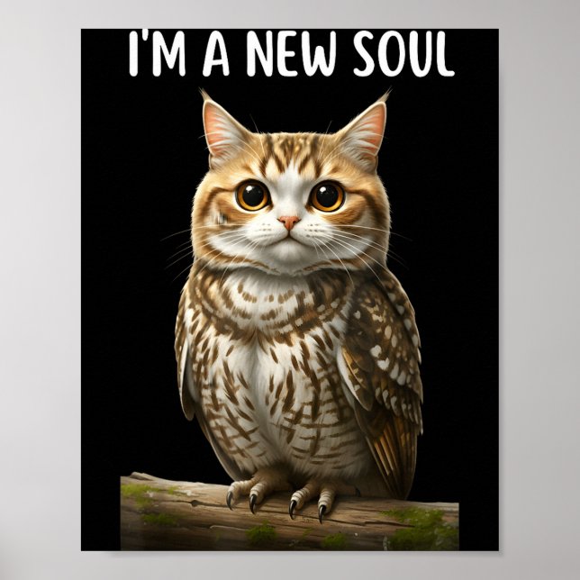 My Srit Animal Funny Meowl, Cursed Cat Owl Brainro Poster (Front)