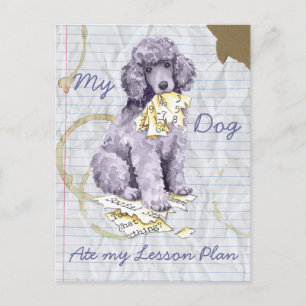 My Standard Poodle Ate my Lesson Plan Postcard