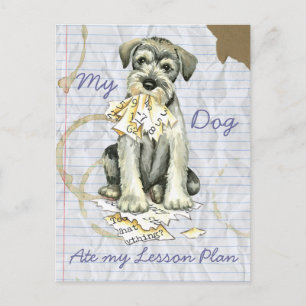 My Standard Schnauzer Ate My Lesson Plan Postcard