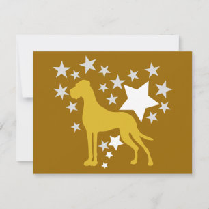My Star Great Danes