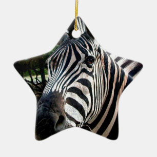 My Strippy Friend Ceramic Ornament