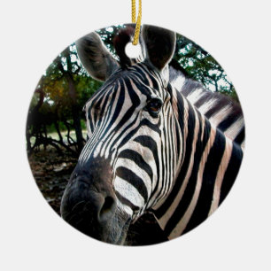 My  Strippy Friend Ceramic Ornament