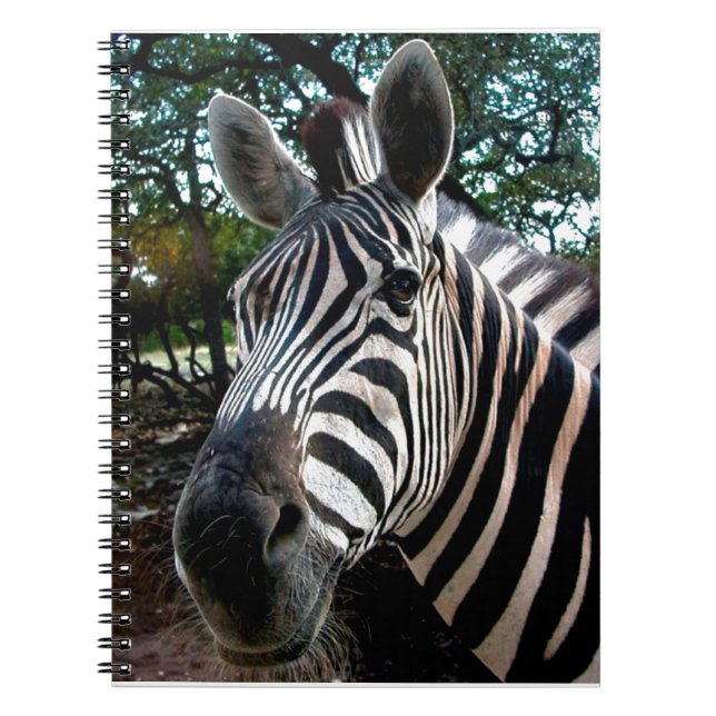 My  Strippy Friend Notebook (Front)