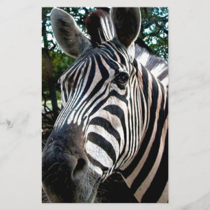 My  Strippy Friend Stationery