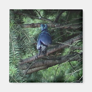 my stuff3 013 magnet