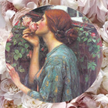 My_Sweet_Rose