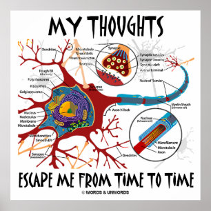 My Thoughts Escape Me From Time To Time (Neuron) Poster