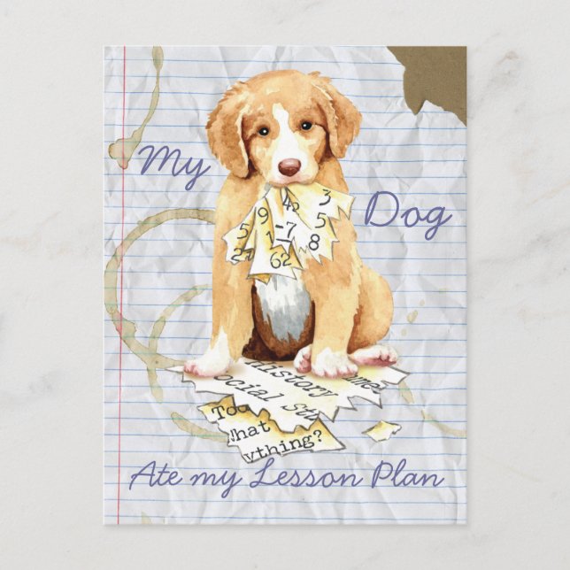 My Toller Ate My Lesson Plan Postcard (Front)