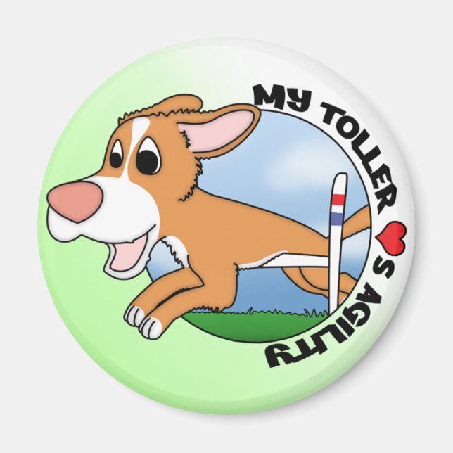 My Toller Loves Agility Magnet (Front)