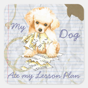 My Toy Poodle Ate my Lesson Plan Square Sticker