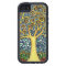 My Tree of Life