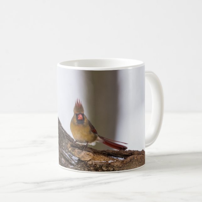 My Troll Do Coffee Mug (Front Right)