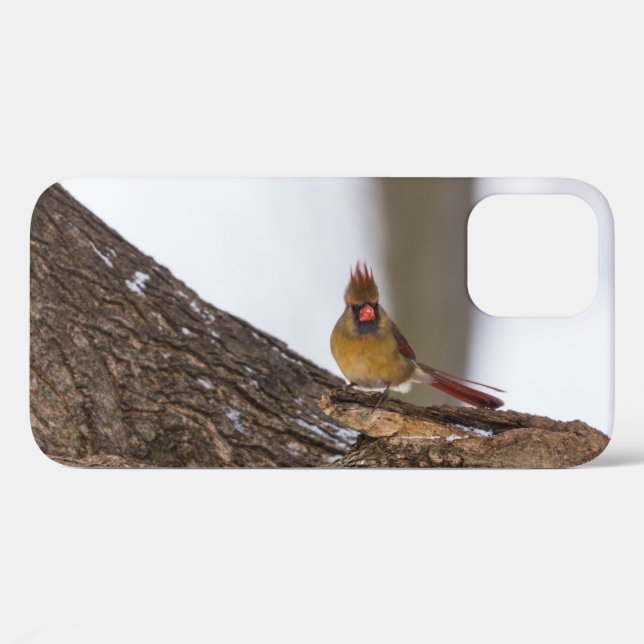 My Troll Do iPhone Case (Back (Horizontal))