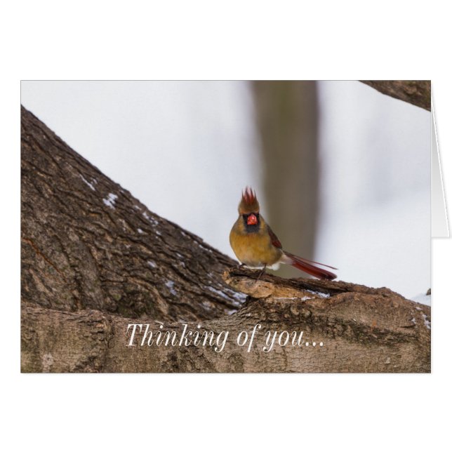 My Troll Do Thinking Of You Card (Front Horizontal)