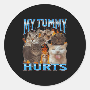 My Tummy Hurts Funny Cat Meme Bootleg Graphic  Classic Round Sticker