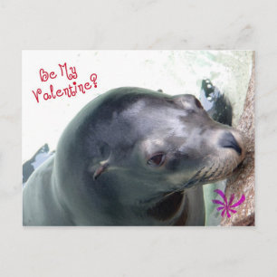 My Valentine Seal Holiday Postcard