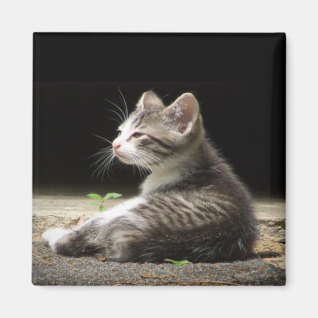 My Watch Magnet (Front)