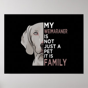 My Weimaraner is Family Poster
