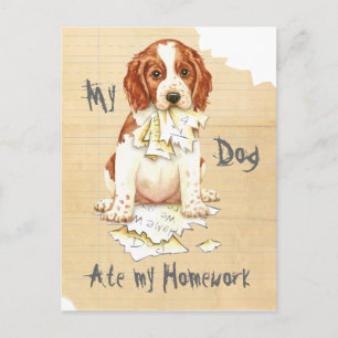 My Welsh Springer Ate My Homework Postcard