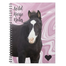 My Wild Horse Notes