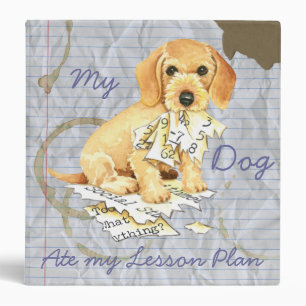 My Wirehaired Dachshund Ate my Lesson Plan Binder
