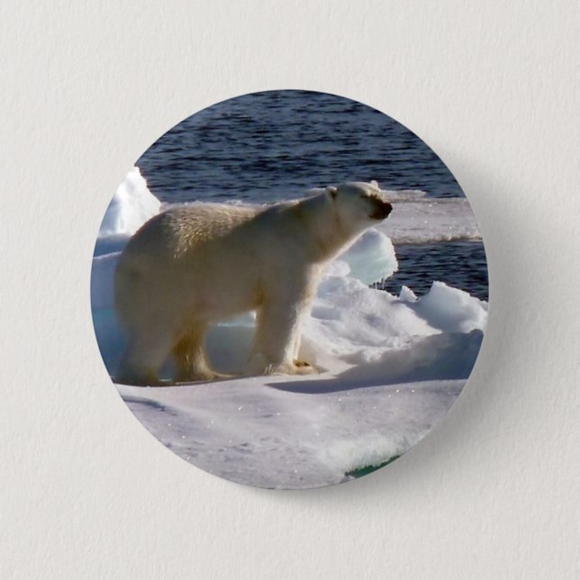 My World is melting! 2 Inch Round Button (Front)