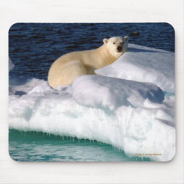 My World is melting! Mouse Pad (Front)