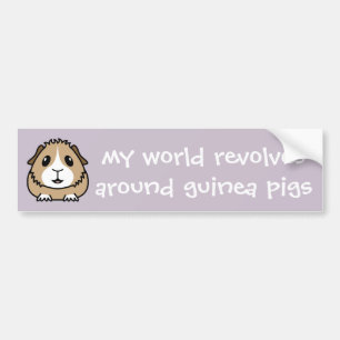 My World Revolves...Guinea Pig Bumper Sticker